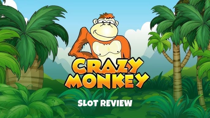 Crazy Monkey